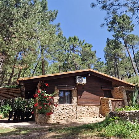 Cabana En Plena Naturaleza Parque Natural Rio Mundo Riópar Exteriér fotografie