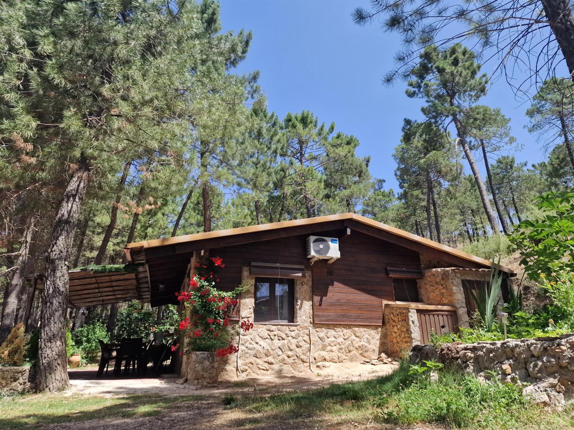Cabana En Plena Naturaleza Parque Natural Rio Mundo Riópar Exteriér fotografie