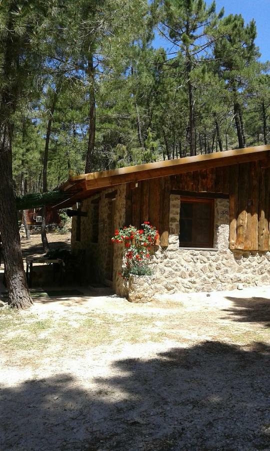 Cabana En Plena Naturaleza Parque Natural Rio Mundo Riópar Exteriér fotografie