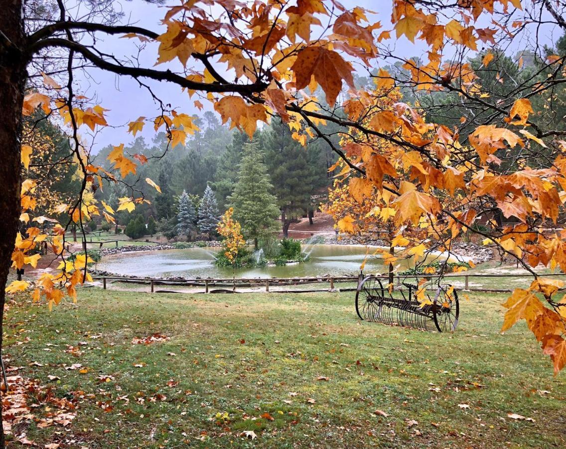 Cabana En Plena Naturaleza Parque Natural Rio Mundo Riópar Pokoj fotografie
